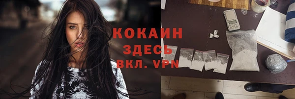 бошки Протвино